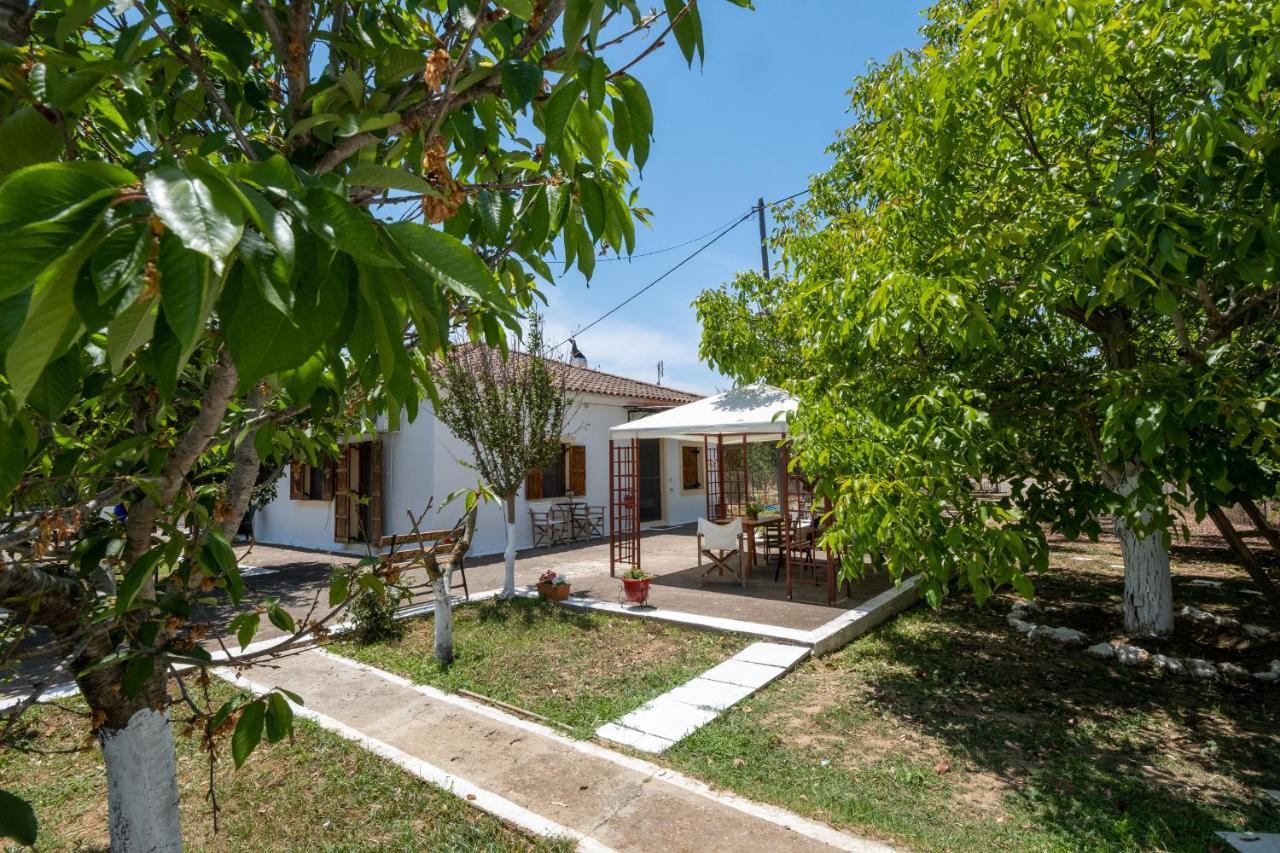Nagia'S House, Εξοχική Κατοικία Κοντά Στη Θάλασσα! Korakokhórion Zewnętrze zdjęcie